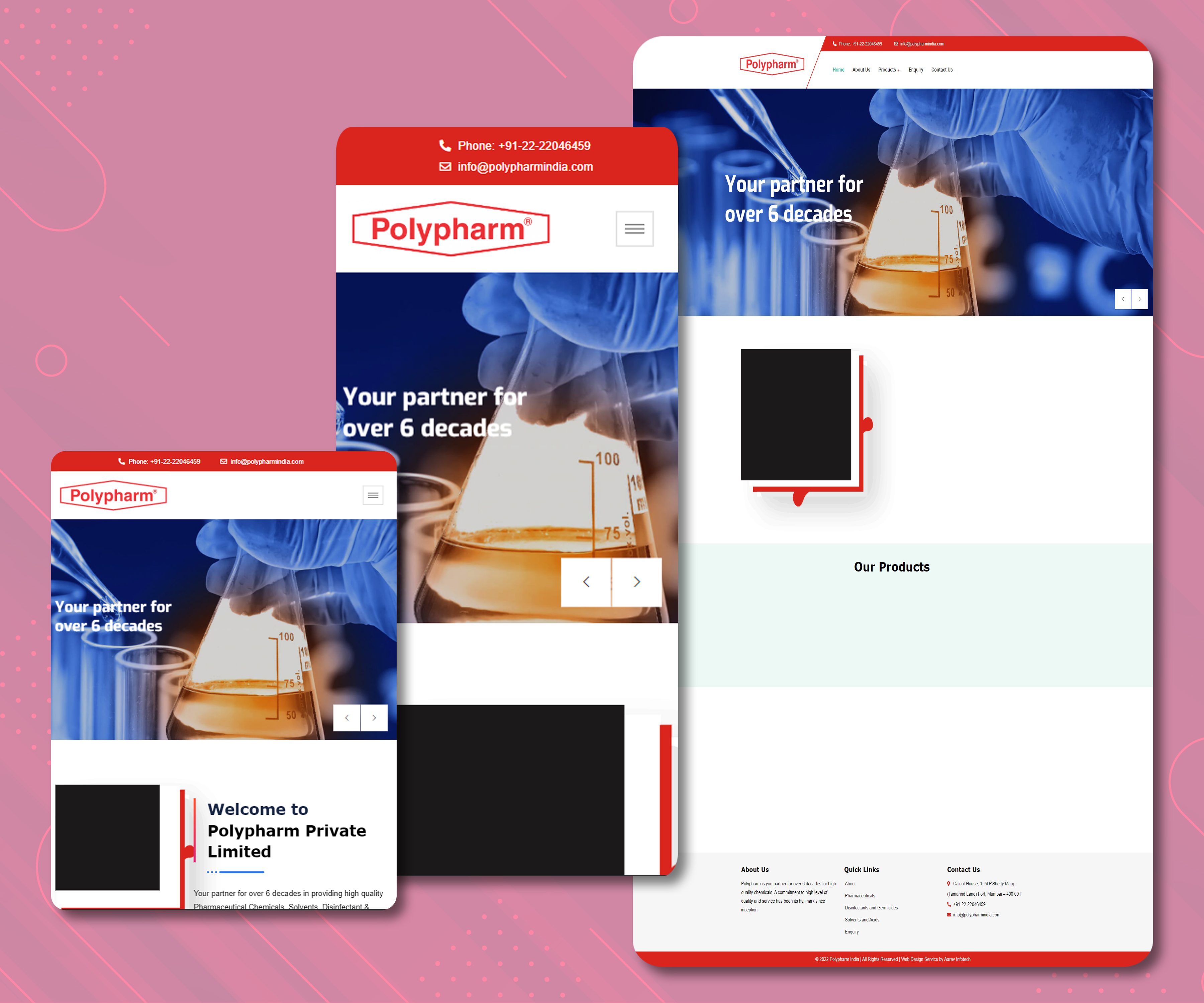 polypharmindia.com - Website Design - WP-Empire Plus